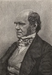 Karol Darwin w wieku 45 lat, ilustracja z "Życia i listów Karola Darwina", tom I, opublikowanego w 1887 r.